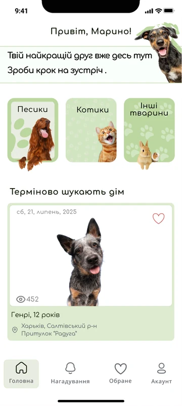 Shelter app — UI screen 8 of 13